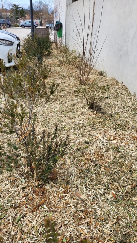 photo de l'actualité