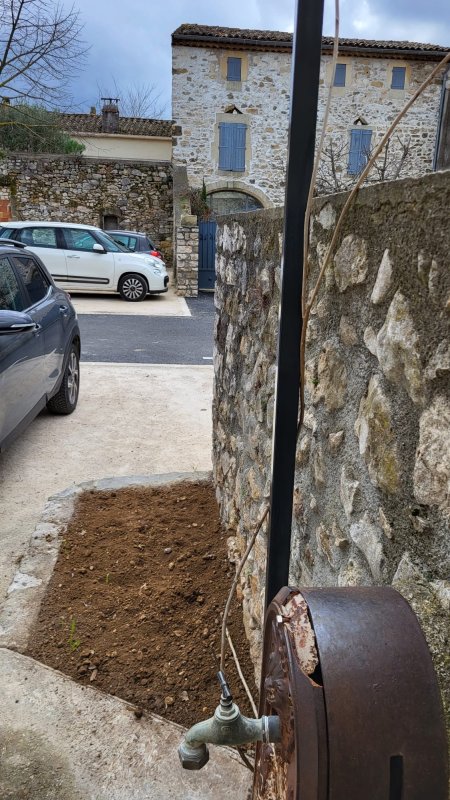 photo de l'actualité