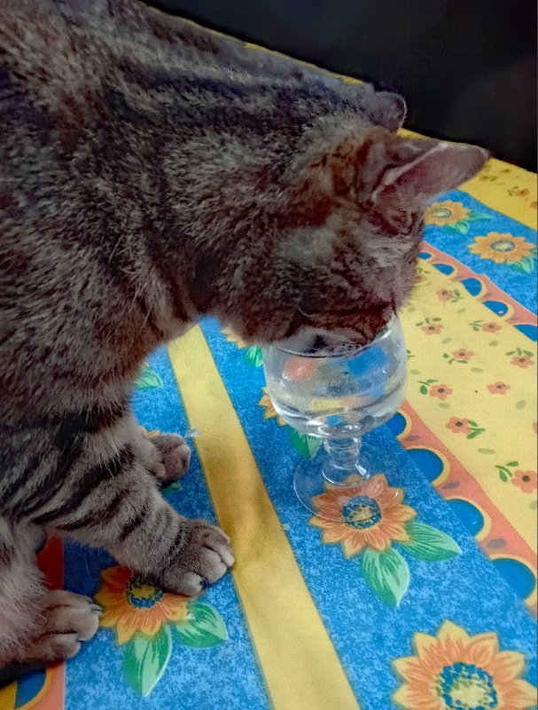 photo de l'actualité