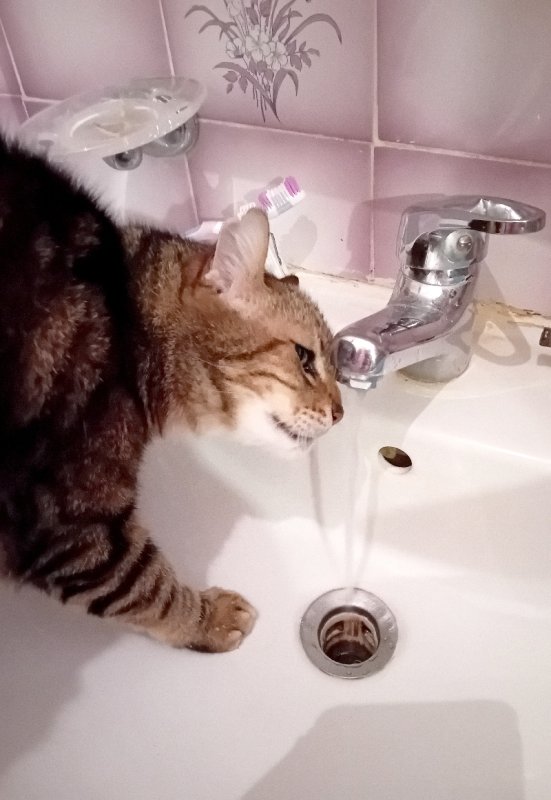 photo de l'actualité