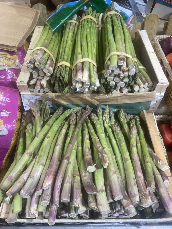 photo de l'actualité