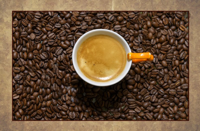 photo de l'actualité