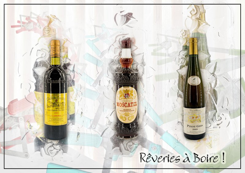 photo de l'actualité