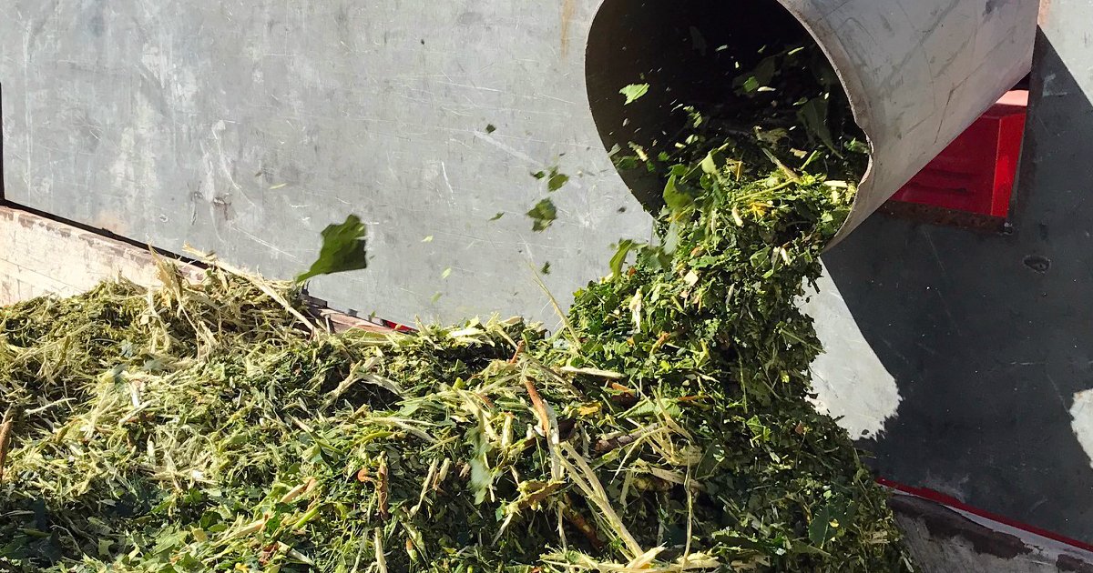 photo de l'actualité