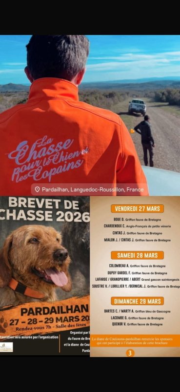 photo de l'actualité