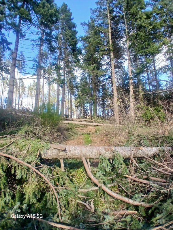 photo de l'actualité