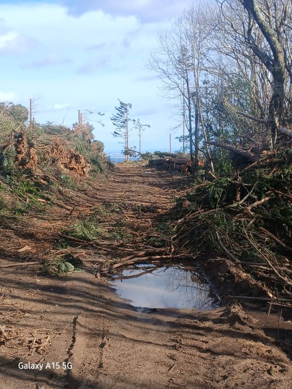 photo de l'actualité