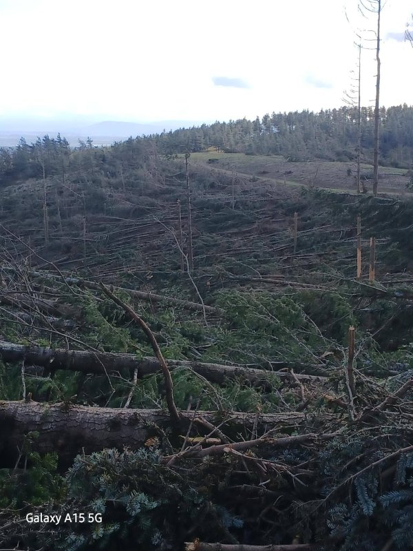 photo de l'actualité