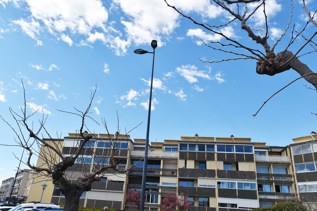 photo de l'actualité