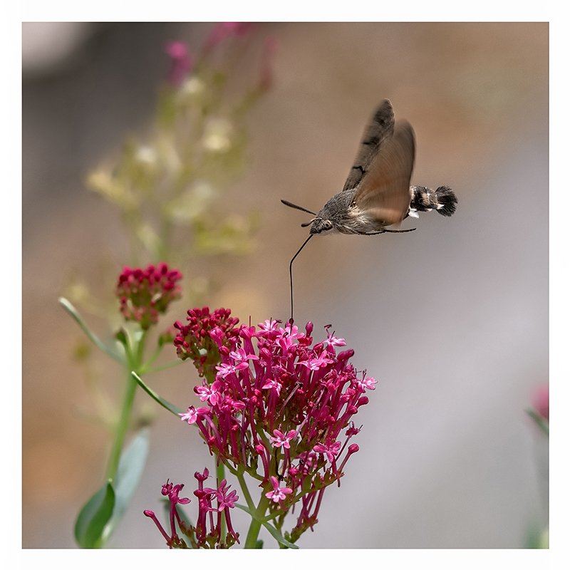 photo de l'actualité