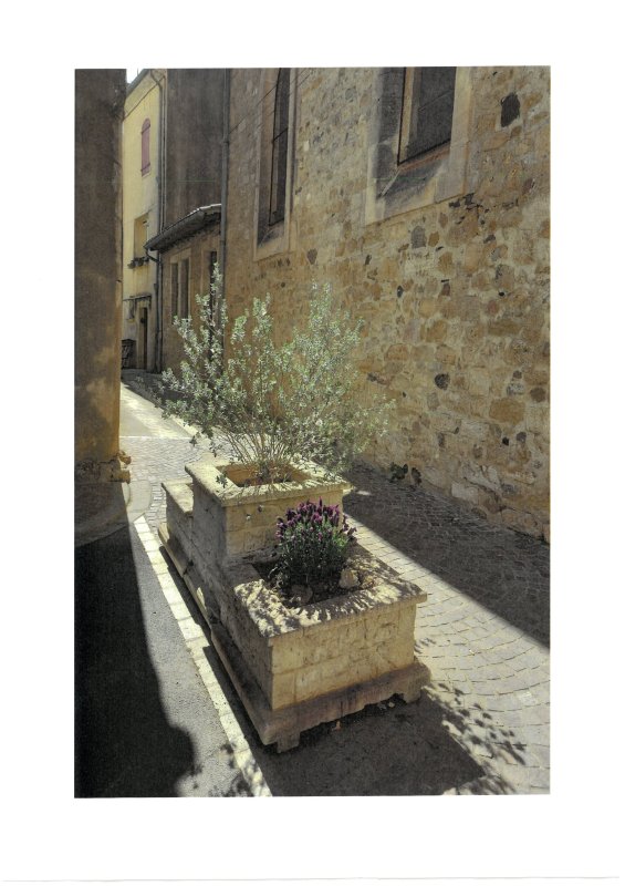 photo de l'actualité