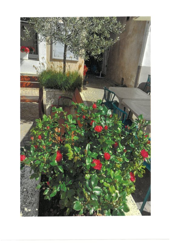 photo de l'actualité