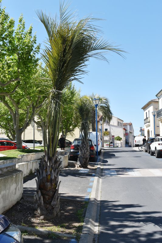 photo de l'actualité