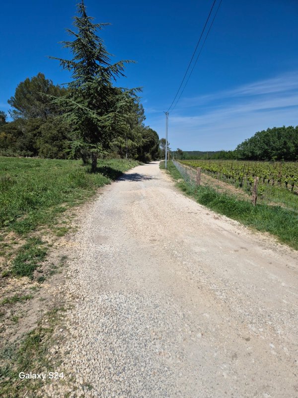 photo de l'actualité