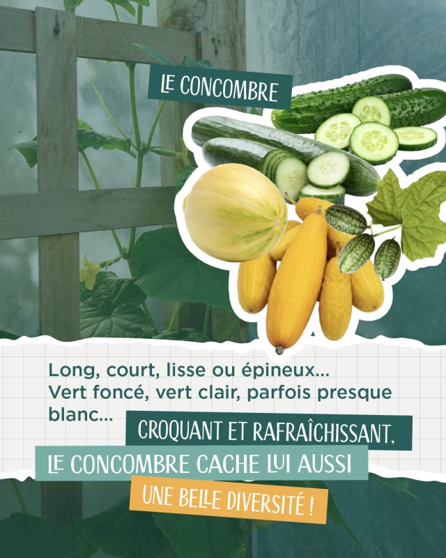 photo de l'actualité