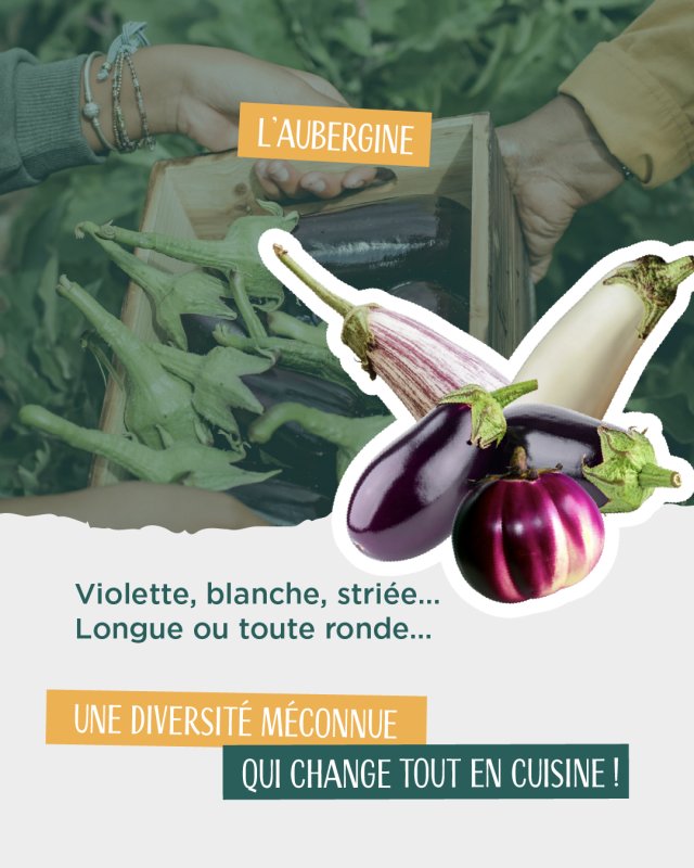 photo de l'actualité