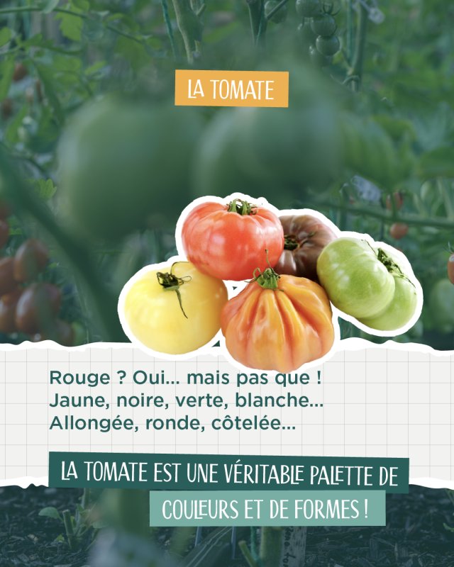 photo de l'actualité