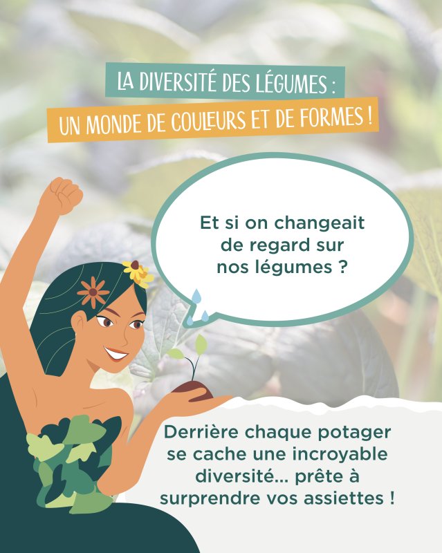 photo de l'actualité