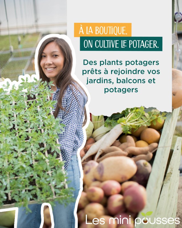 photo de l'actualité