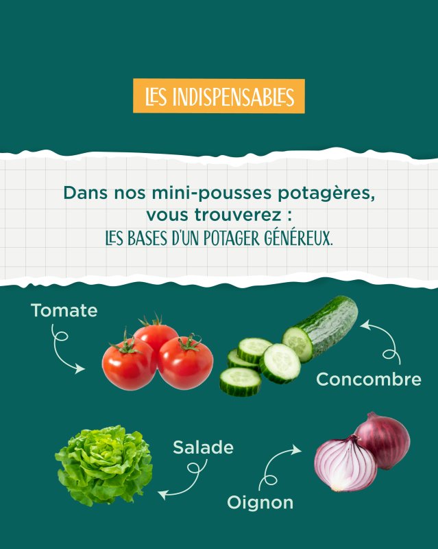 photo de l'actualité