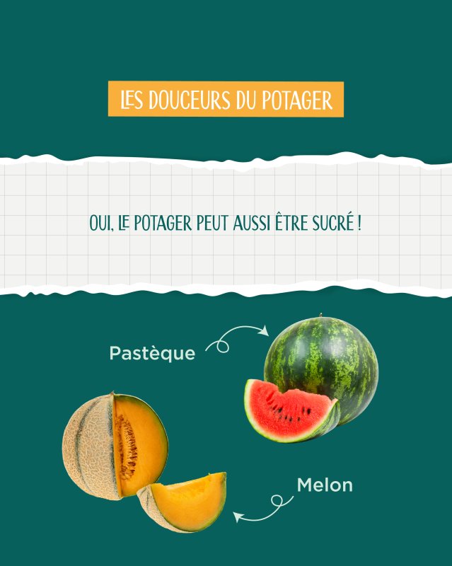 photo de l'actualité