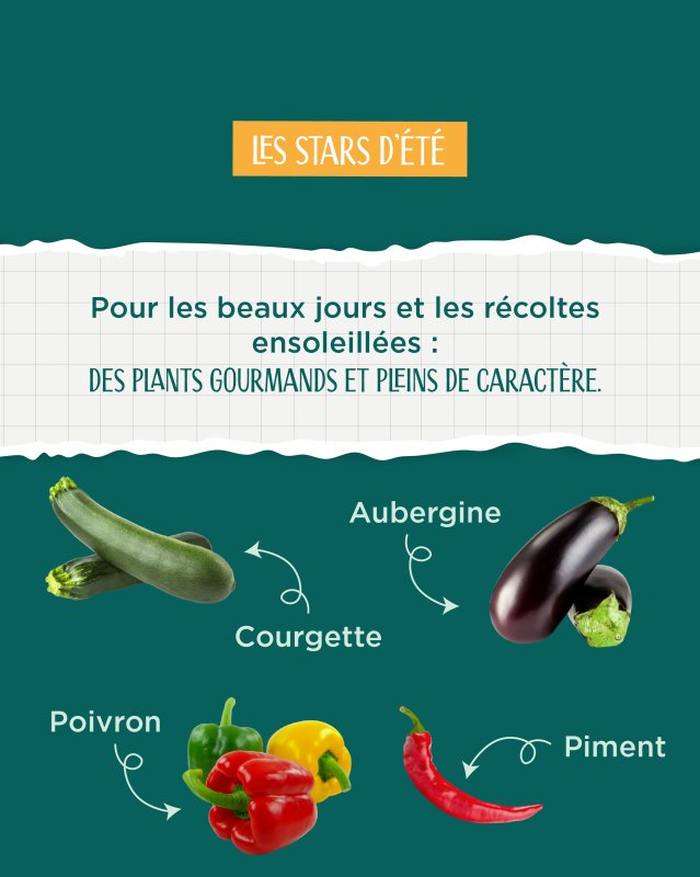photo de l'actualité
