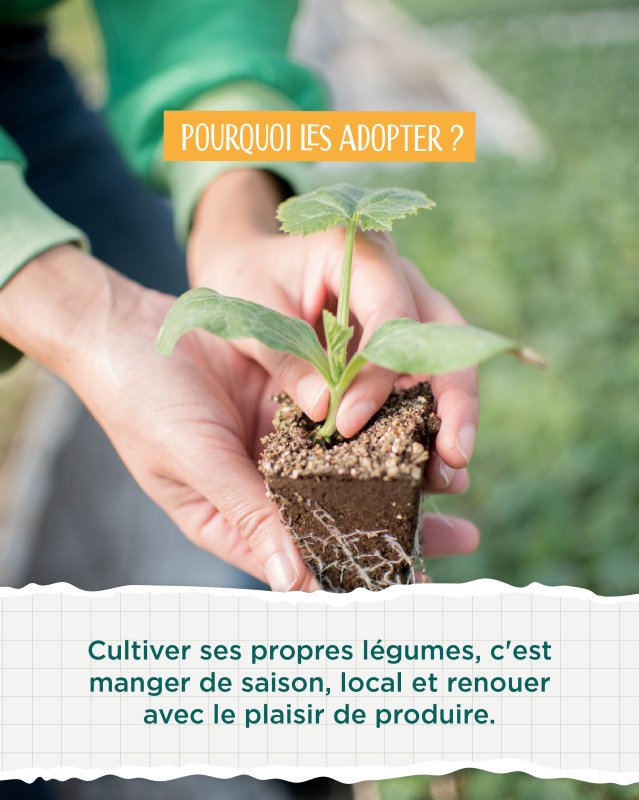 photo de l'actualité