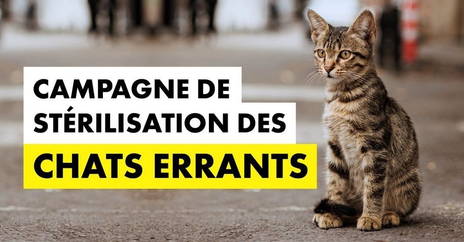 photo de l'actualité