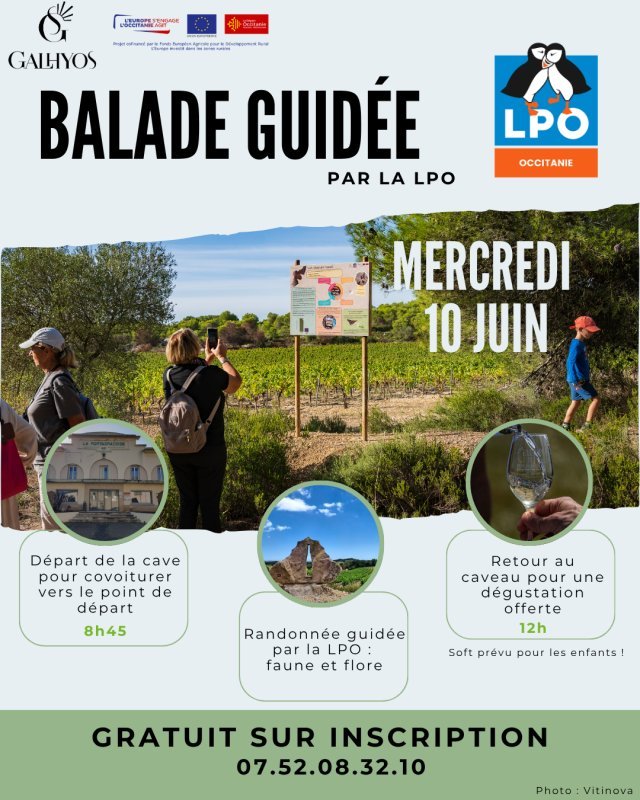 photo de l'actualité
