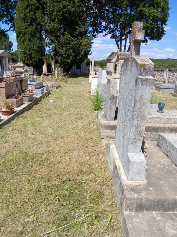 photo de l'actualité