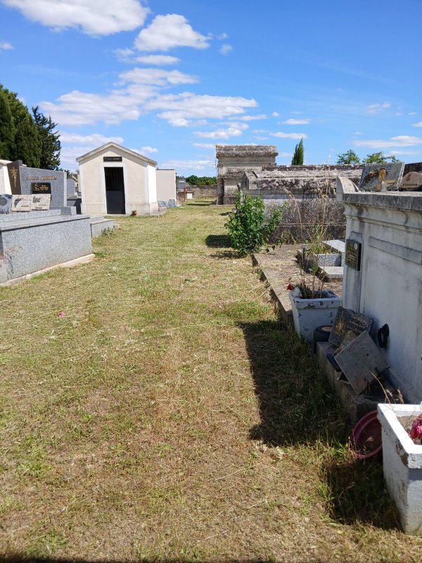 photo de l'actualité