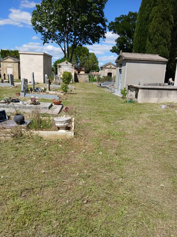 photo de l'actualité
