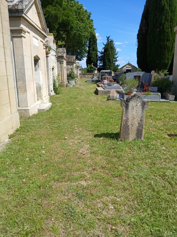 photo de l'actualité