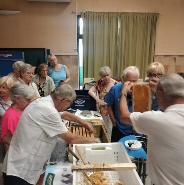 illustration