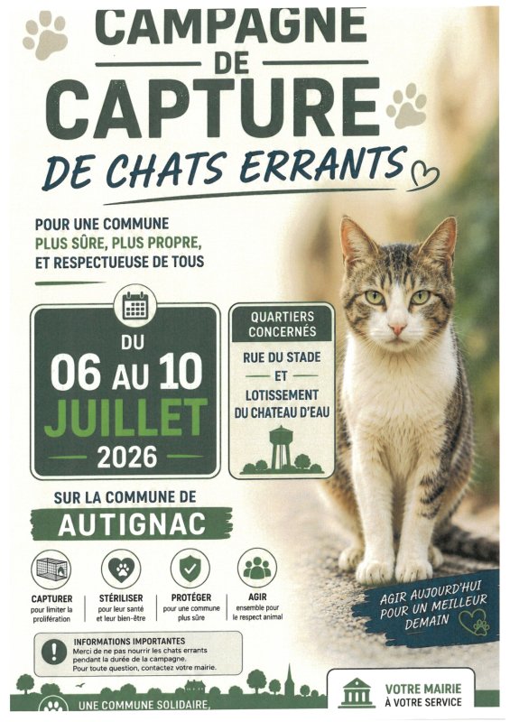 photo de l'actualité