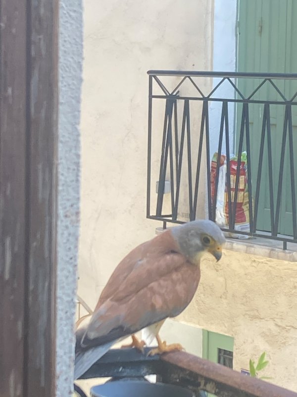 photo de l'actualité
