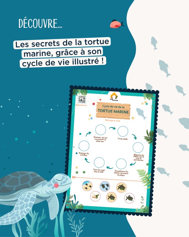 photo de l'actualité
