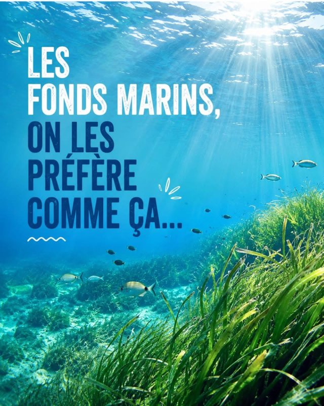 photo de l'actualité
