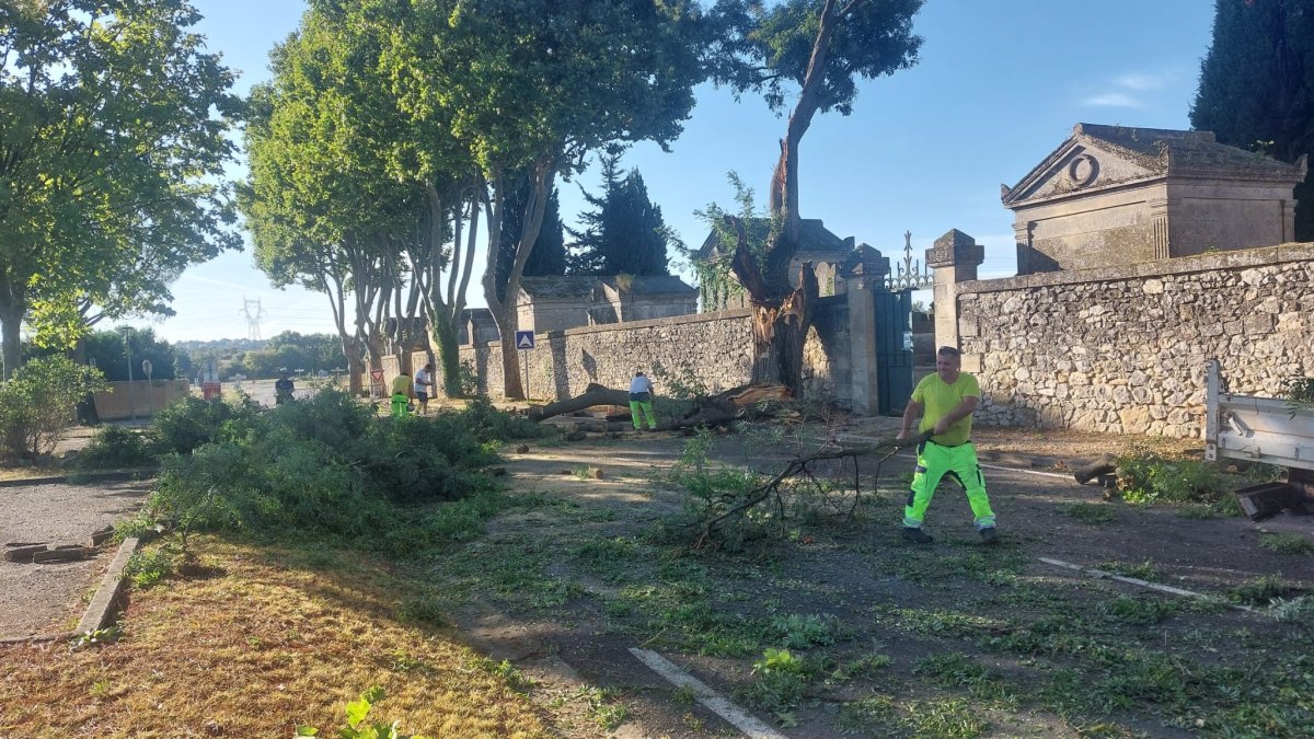 photo de l'actualité