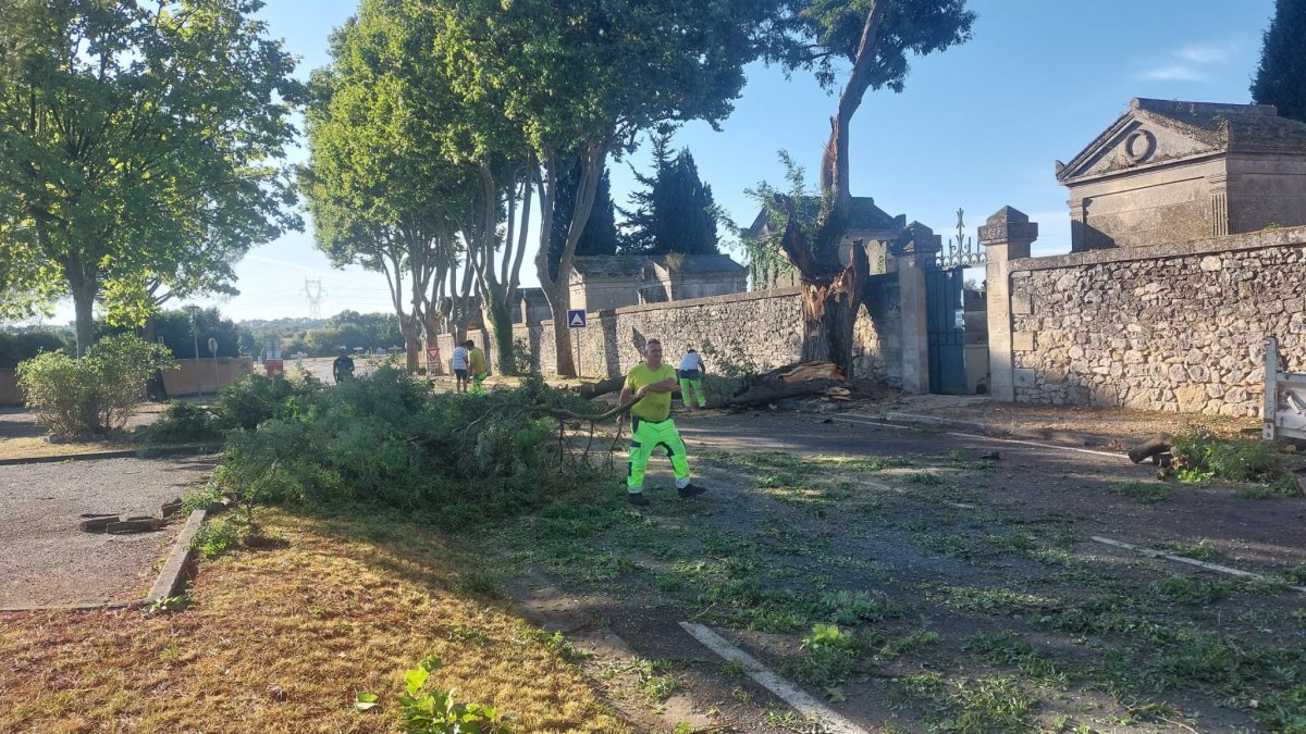 photo de l'actualité