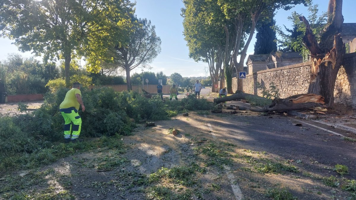 photo de l'actualité