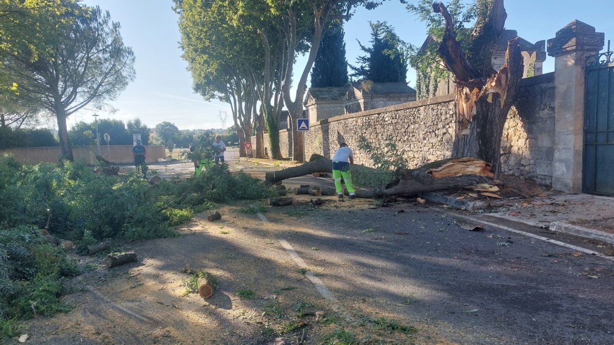 photo de l'actualité