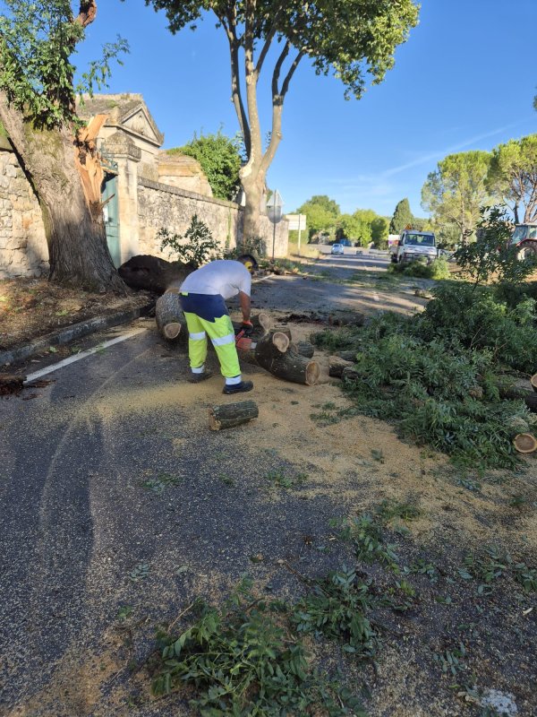 photo de l'actualité