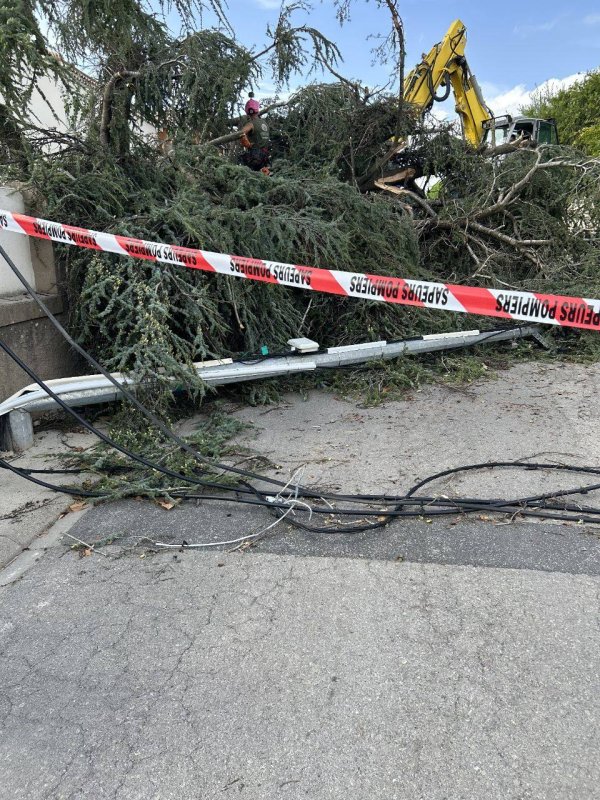 photo de l'actualité