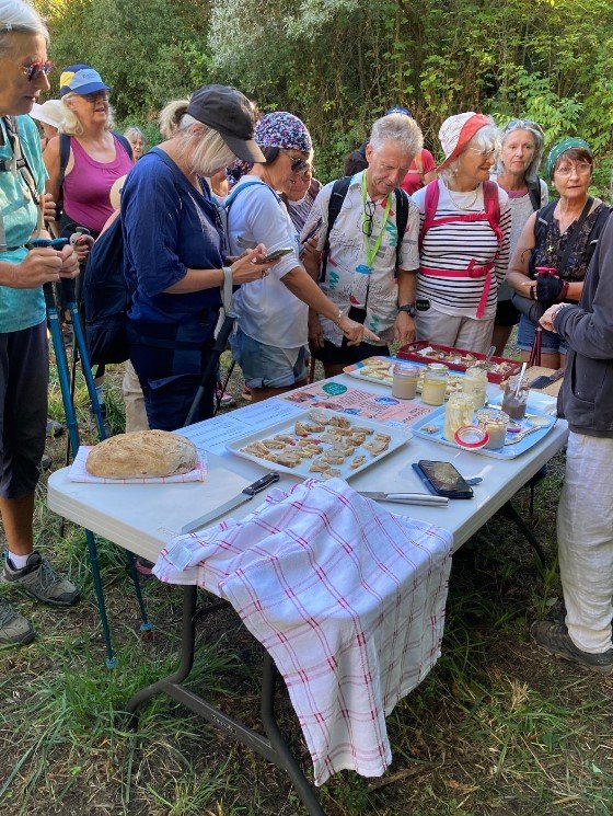 photo de l'actualité