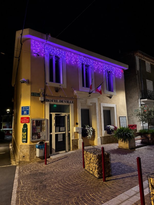 photo de l'actualité