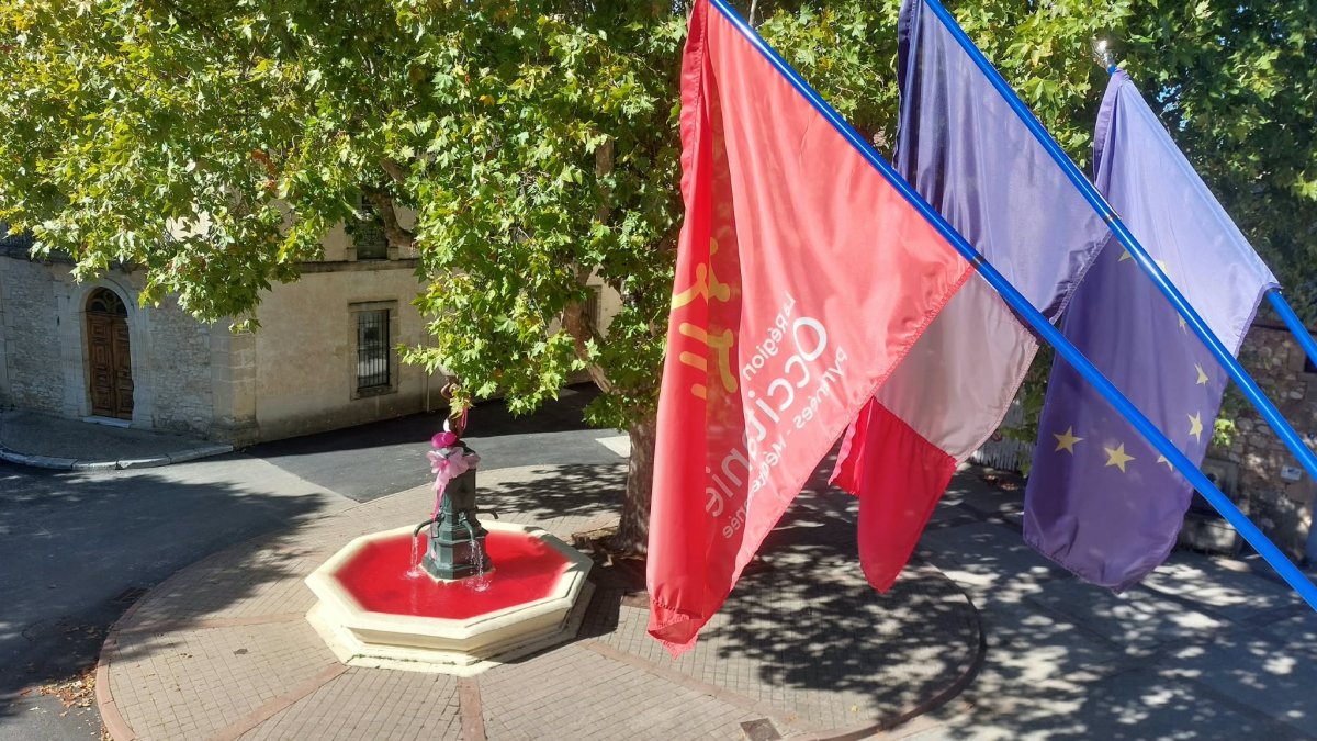 photo de l'actualité