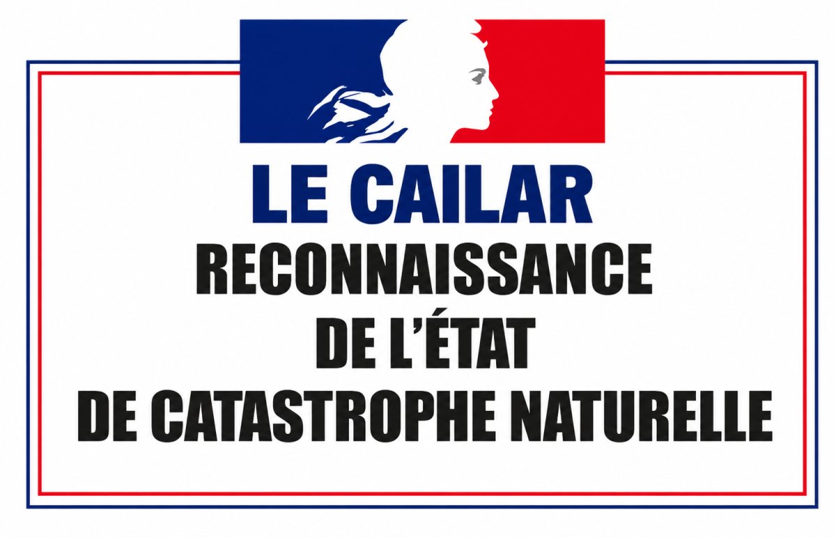 photo de l'actualité