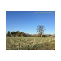 logo de l'auteur de l'actualité