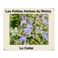logo Les petites herbes du Rhôny